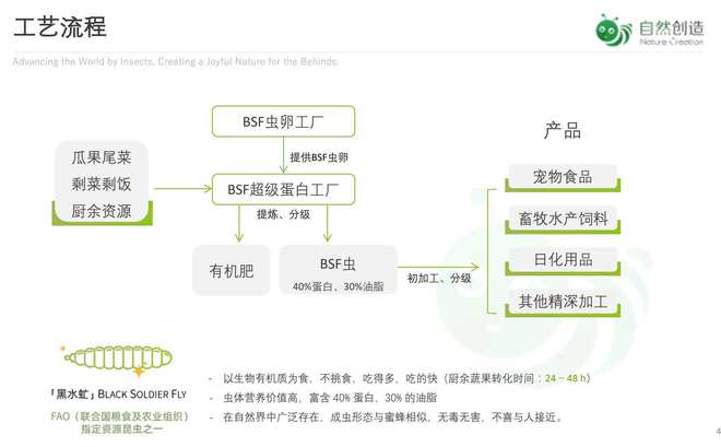 国内昆虫蛋白研究还在起步，「自然创造」想切入黑水虻全产业链开发 助力大闸蟹走向高端养殖