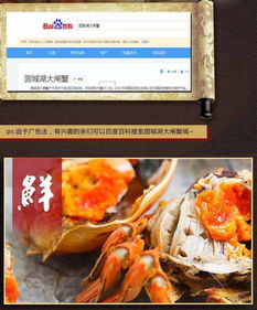 13.5蚊 只固城精品大闸蟹 4公4母爆膏大闸蟹 产地直发,死蟹包赔
