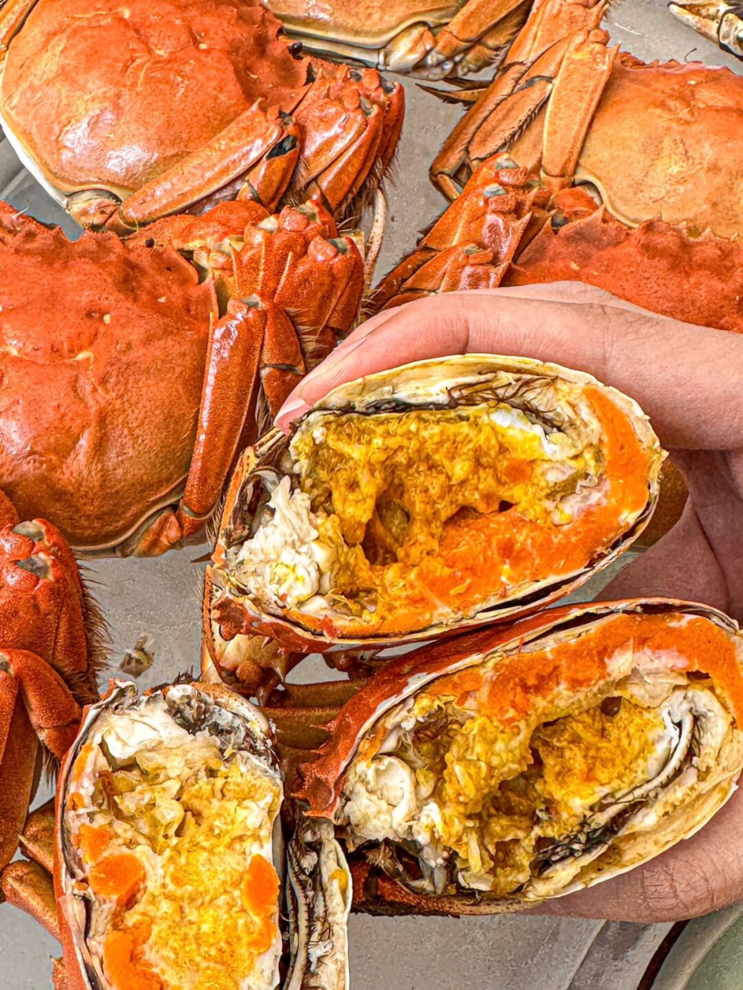 阳澄湖附近吃大闸蟹的地方 去阳澄湖吃大闸蟹推荐
