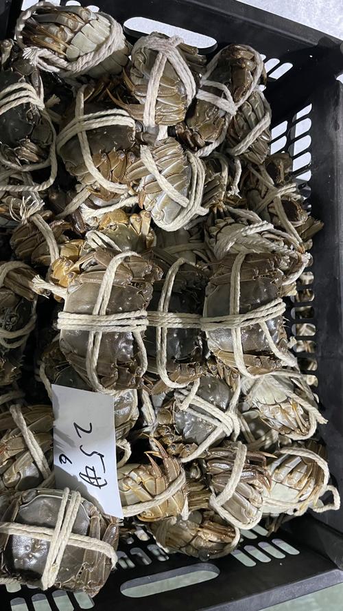 江苏大闸蟹规格齐全保质保量量大从优欢迎咨询